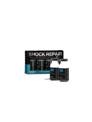 Shock Repair